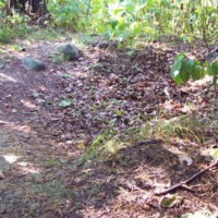 http://omeka.deichman.no/archive/import/B20060030.jpg