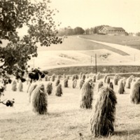http://omeka.deichman.no/archive/import/B20120055.jpg