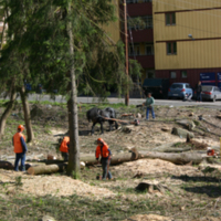 http://omeka.deichman.no/archive/import/B20110158.jpg