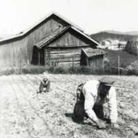 http://omeka.deichman.no/archive/import/B20050168.jpg