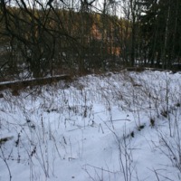 http://omeka.deichman.no/archive/import/B20050299.jpg