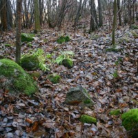 http://omeka.deichman.no/archive/import/B20050309.jpg