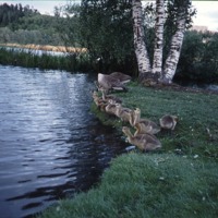 http://omeka.deichman.no/archive/import/B20100079.jpg