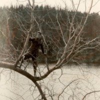 http://omeka.deichman.no/archive/import/B20070072.jpg