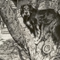 http://omeka.deichman.no/archive/import/B20110304.jpg