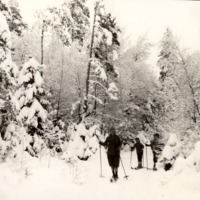 http://omeka.deichman.no/archive/import/B20070016.jpg