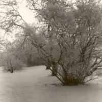 http://omeka.deichman.no/archive/import/B20110316.jpg
