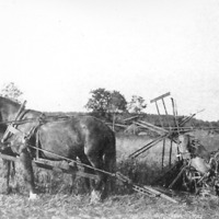 http://omeka.deichman.no/archive/import/B20030248.jpg