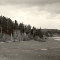 B20070103.jpg