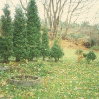 B20050316.jpg