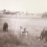 http://omeka.deichman.no/archive/import/B20030201.jpg