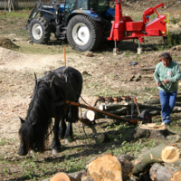 http://omeka.deichman.no/archive/import/B20110148.jpg
