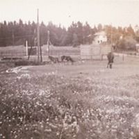 http://omeka.deichman.no/archive/import/B20030204.jpg