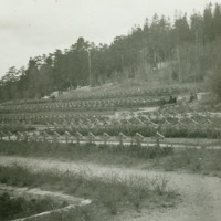 http://omeka.deichman.no/archive/import/B20050195.jpg