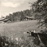 http://omeka.deichman.no/archive/import/B20040008.jpg