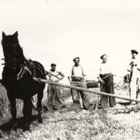 http://omeka.deichman.no/archive/import/B20040024.jpg