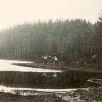 http://omeka.deichman.no/archive/import/B20070078.jpg