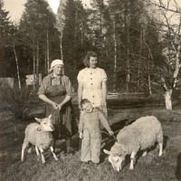 http://omeka.deichman.no/archive/import/B20090053.jpg
