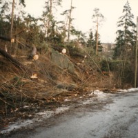 http://omeka.deichman.no/archive/import/B20110191.jpg