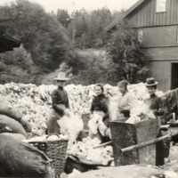 http://omeka.deichman.no/archive/import/B20100128.jpg