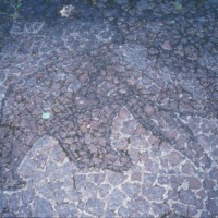 http://omeka.deichman.no/archive/import/B20070161.jpg