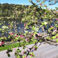 http://omeka.deichman.no/archive/import/B20050301.jpg