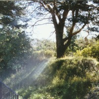 http://omeka.deichman.no/archive/import/B20040270.jpg