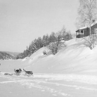 http://omeka.deichman.no/archive/import/B20040120.jpg