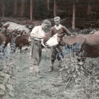 http://omeka.deichman.no/archive/import/B20070056.jpg