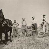 http://omeka.deichman.no/archive/import/B20030148.jpg