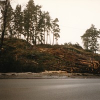 http://omeka.deichman.no/archive/import/B20110180.jpg