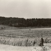 http://omeka.deichman.no/archive/import/B20030147.jpg
