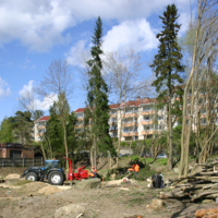http://omeka.deichman.no/archive/import/B20110145.jpg