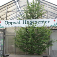 http://omeka.deichman.no/archive/import/B20110173.jpg