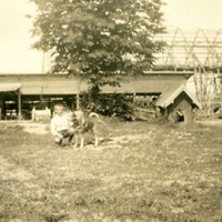 http://omeka.deichman.no/archive/import/B20030239.jpg