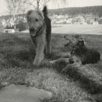 http://omeka.deichman.no/archive/import/B20110404.jpg