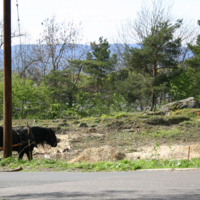 http://omeka.deichman.no/archive/import/B20110139.jpg