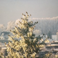 http://omeka.deichman.no/archive/import/B20050086.jpg