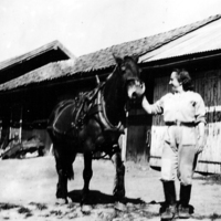 http://omeka.deichman.no/archive/import/B20060227.jpg