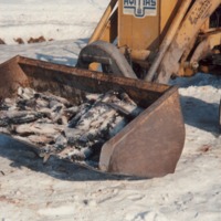 http://omeka.deichman.no/archive/import/B20100087.jpg