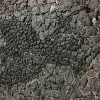 http://omeka.deichman.no/archive/import/B20090141.jpg