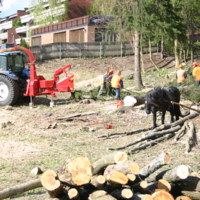 http://omeka.deichman.no/archive/import/B20110143.jpg