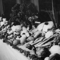 http://omeka.deichman.no/archive/import/B20060203.jpg