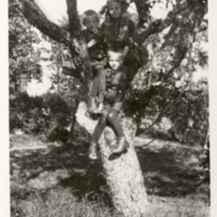 http://omeka.deichman.no/archive/import/B20110275.jpg