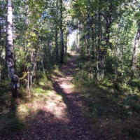 http://omeka.deichman.no/archive/import/B20060103.jpg