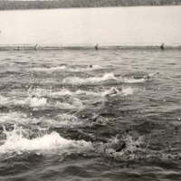 http://omeka.deichman.no/archive/import/B20120007.jpg