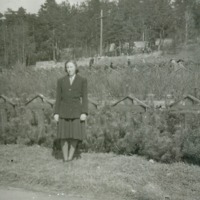http://omeka.deichman.no/archive/import/B20050193.jpg