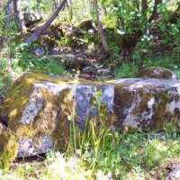 http://omeka.deichman.no/archive/import/B20050302.jpg