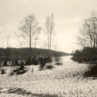http://omeka.deichman.no/archive/import/B20070046.jpg