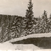 http://omeka.deichman.no/archive/import/B20090075.jpg